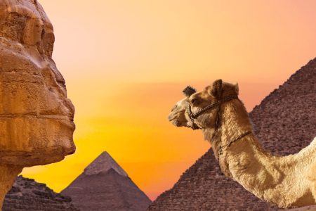 Giza Pyramids City Tour